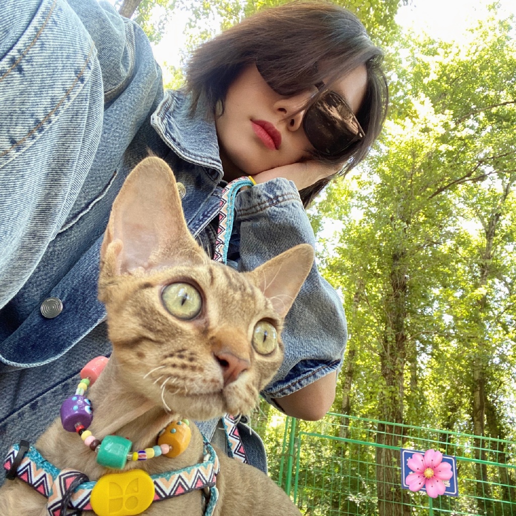 孟美岐桃花坞开放中