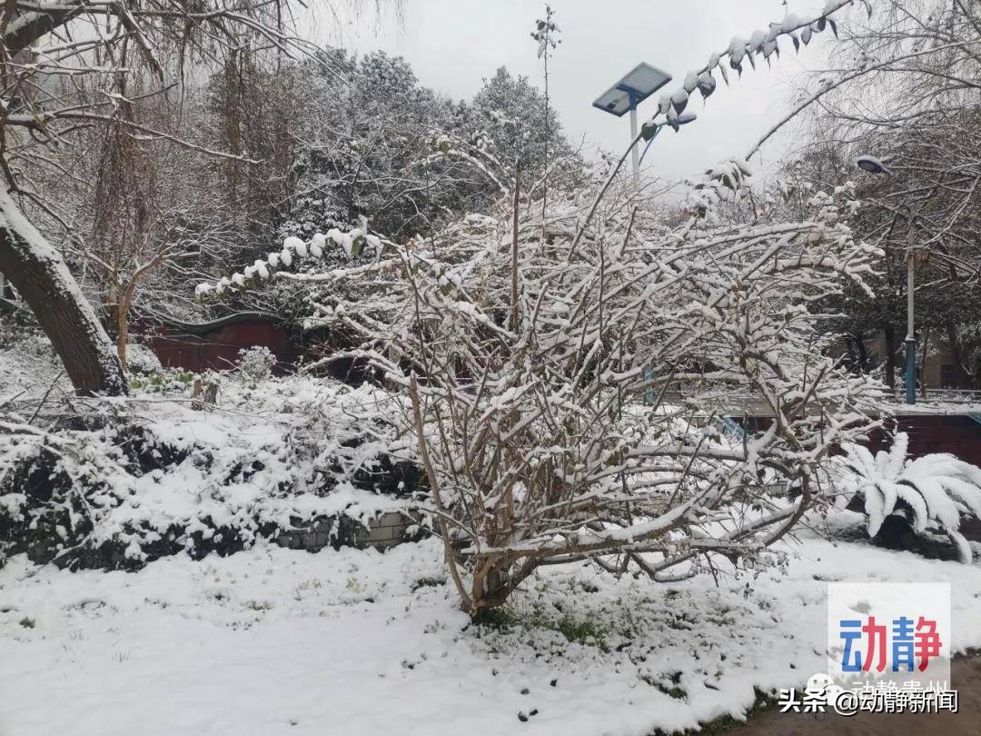 昨夜今晨，贵州多地出现降雪，这些高速公路实行交通管制