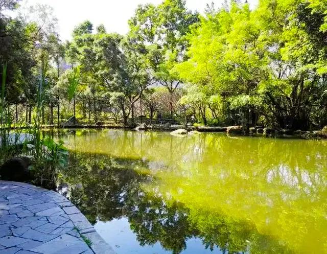 深圳这22个地方真美，可以徒步穿越，看海，地铁直达，无门票