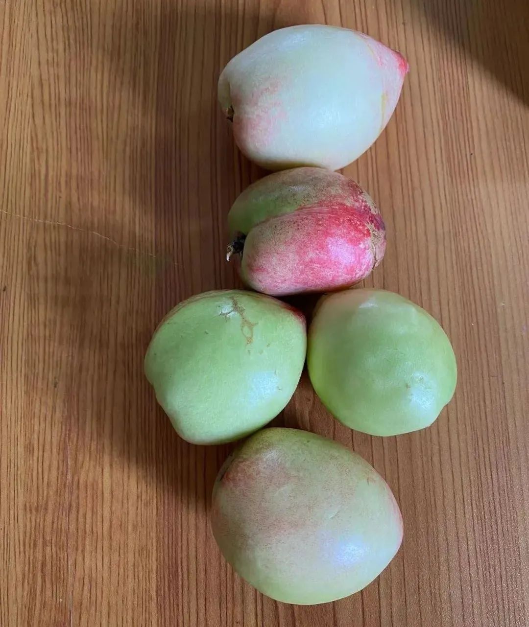 快乐劳动 幸福童年｜记双流区实验小学外国语学校劳动系列课程