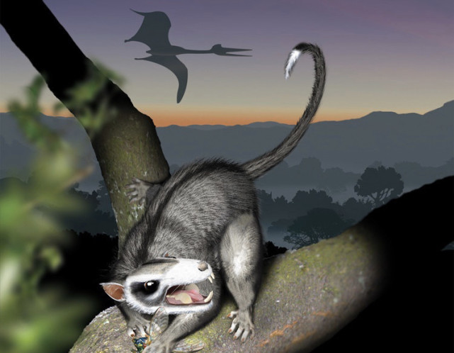 1.5万名科学家联合声明，第六次大灭绝或正发生，有这种可能吗？