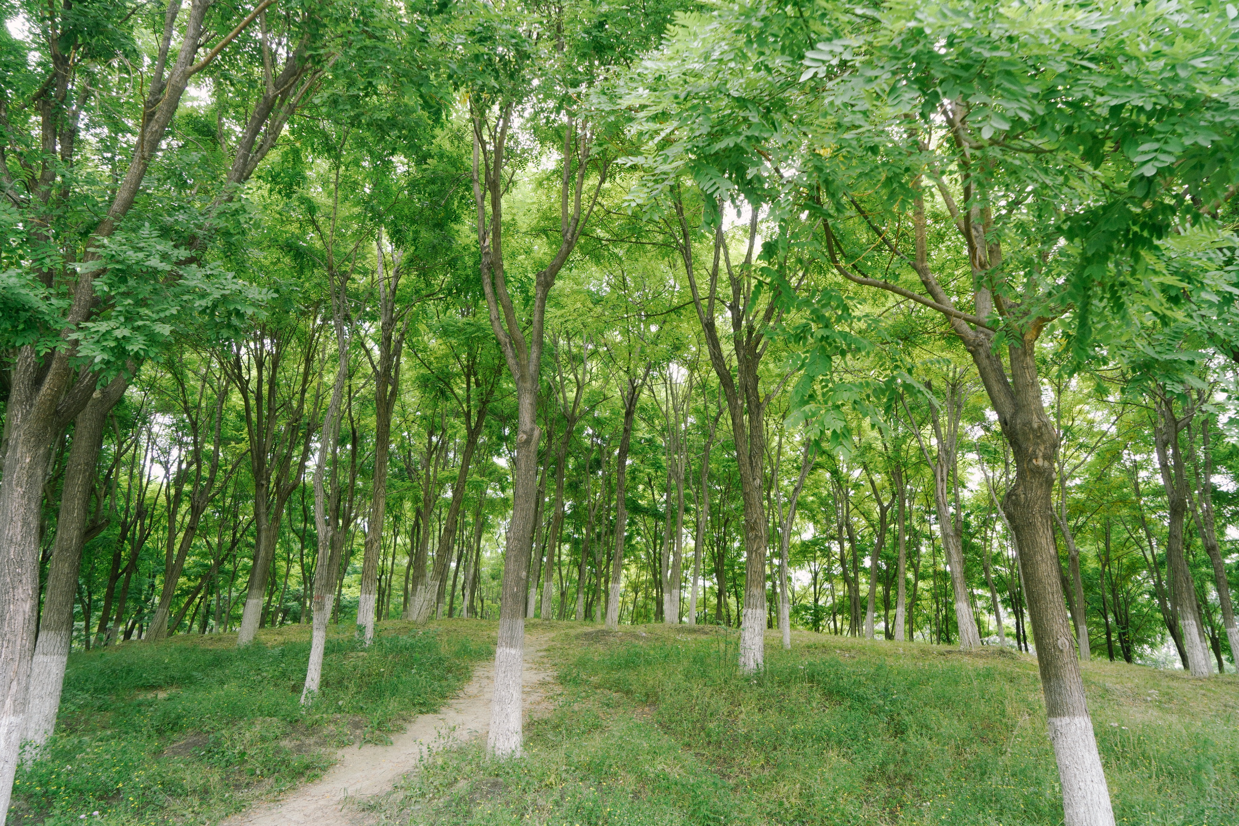 11月北京旅游攻略自助游攻略(平替) - 悦闻天下