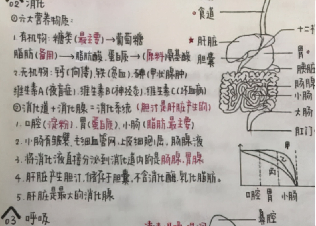 高考状元的“神仙卷面”，字迹如印刷体，阅卷老师看了爱不释手