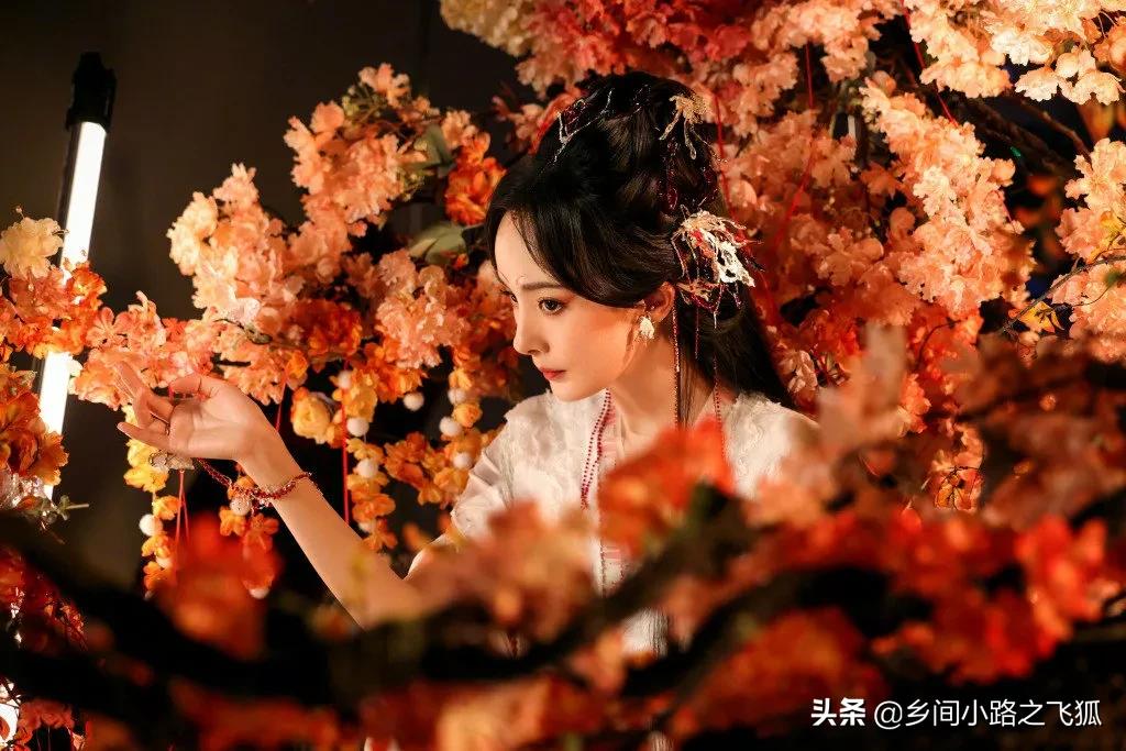 今日《狐妖小红娘月红篇》正式官宣，杨幂饰演山红红花絮照来了