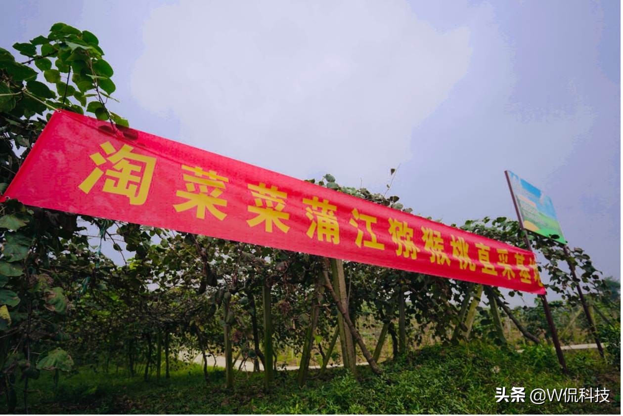 时隔一年，人民日报再次“点名”阿里巴巴，还马云“清白”