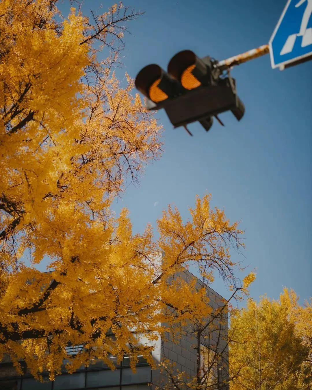 “幸与不幸都会有尽头.”清醒看透生活的句子