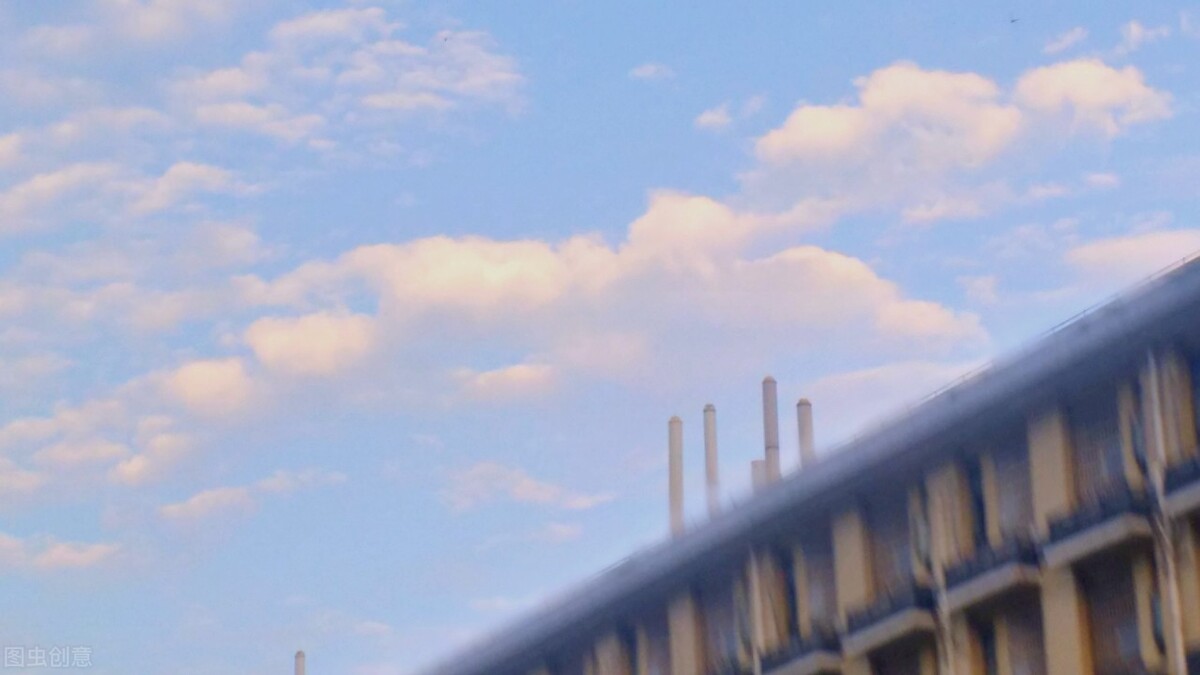 职教水平高的四所大学，就业率以及就业质量高，专升本率也不低