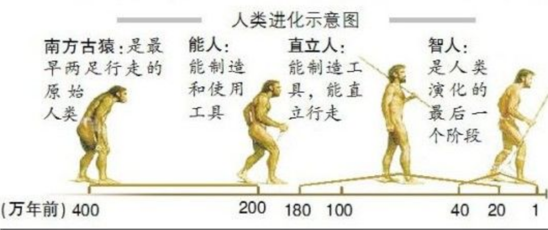 史前巨兽战力榜：恐龙崛起前的远古霸主实力排名