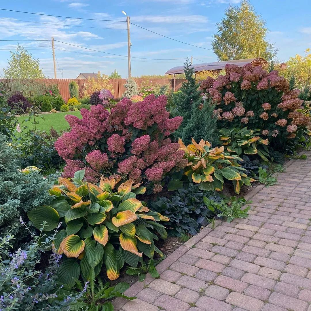 25种花境设计，让生活更美好，你最喜欢哪种？