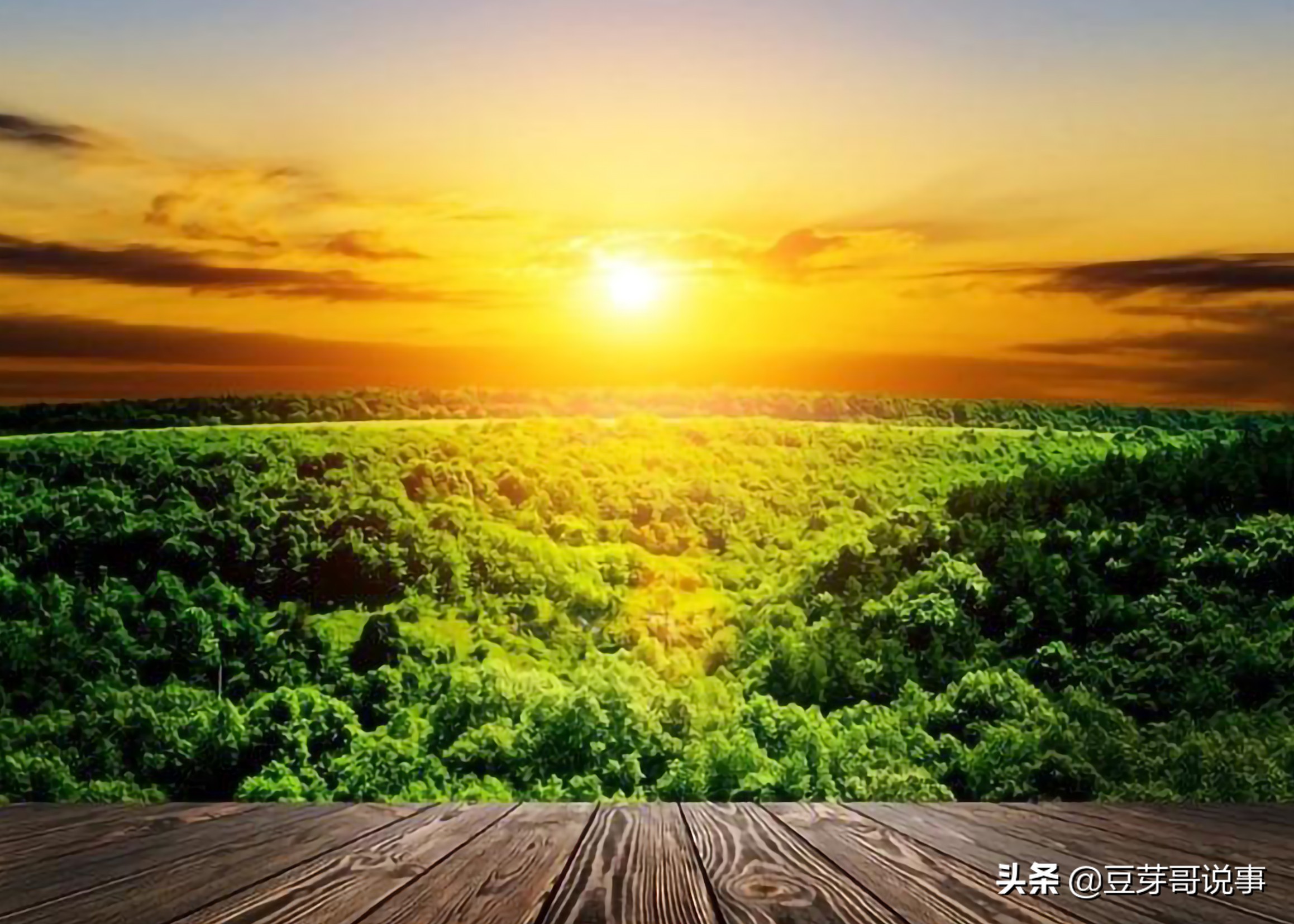 图/来源 达观娱乐新景点行在人生路上,不总是阳光灿烂,还有不期而遇的