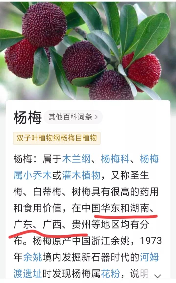 二月二，料豆喷喷香