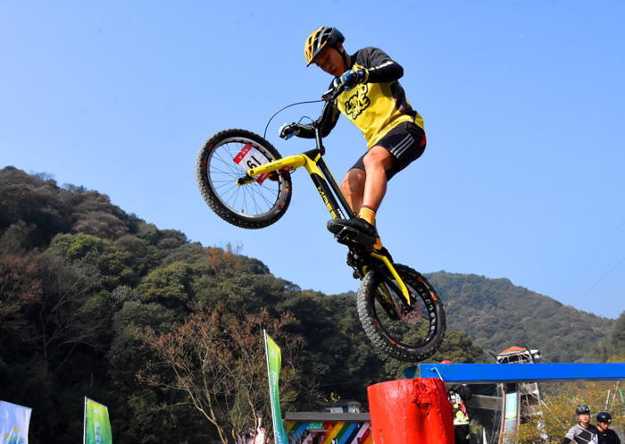 森林极限运动自行车「在大森林里骑的自行车」