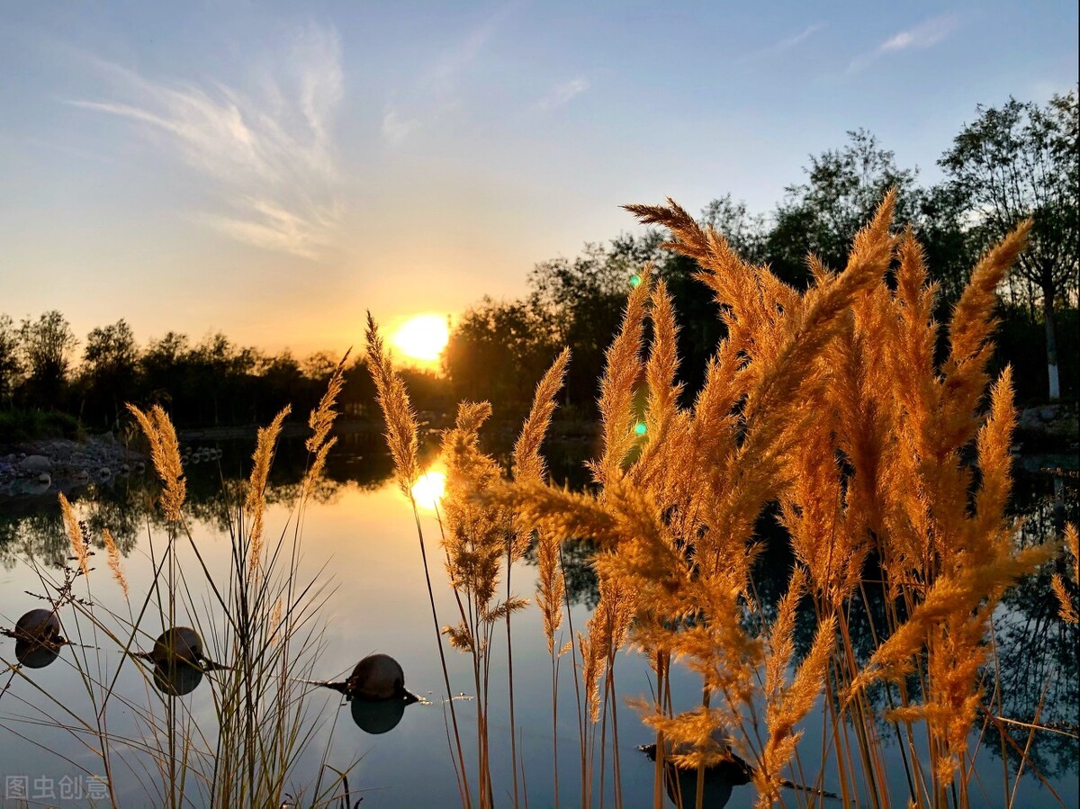 共贏人生智慧：利他，是最高境界的利己；共利，才能共贏