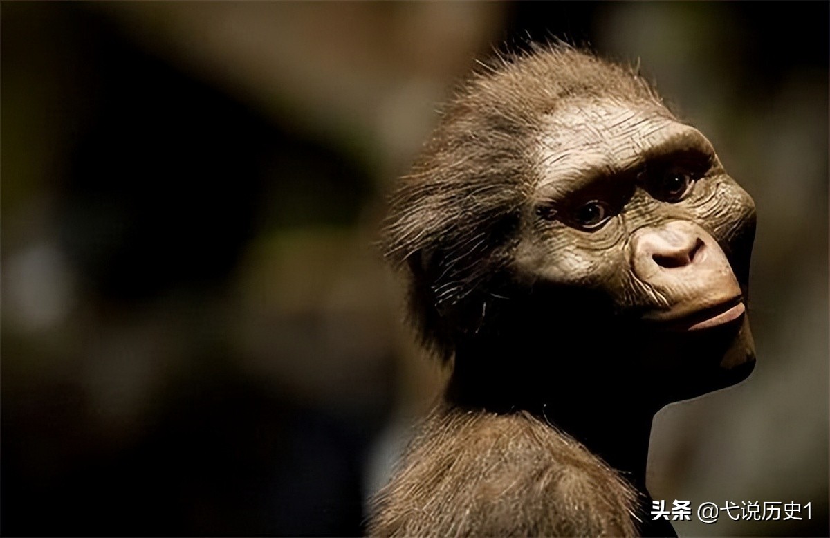 并不是类人猿进化