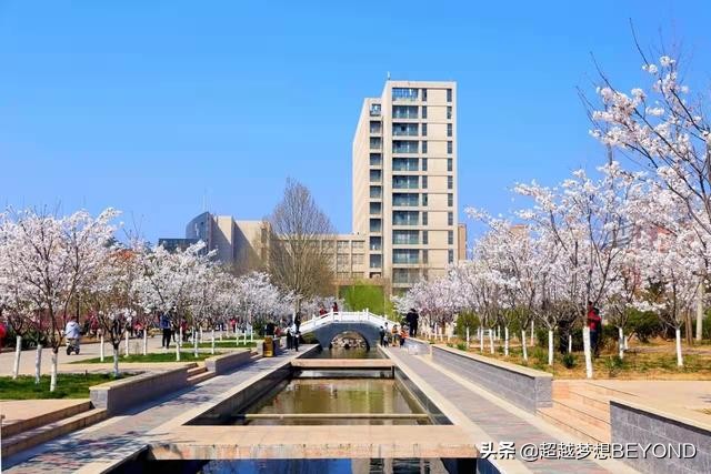 安阳师范学院2021年各专业录取分数情况（河南省）