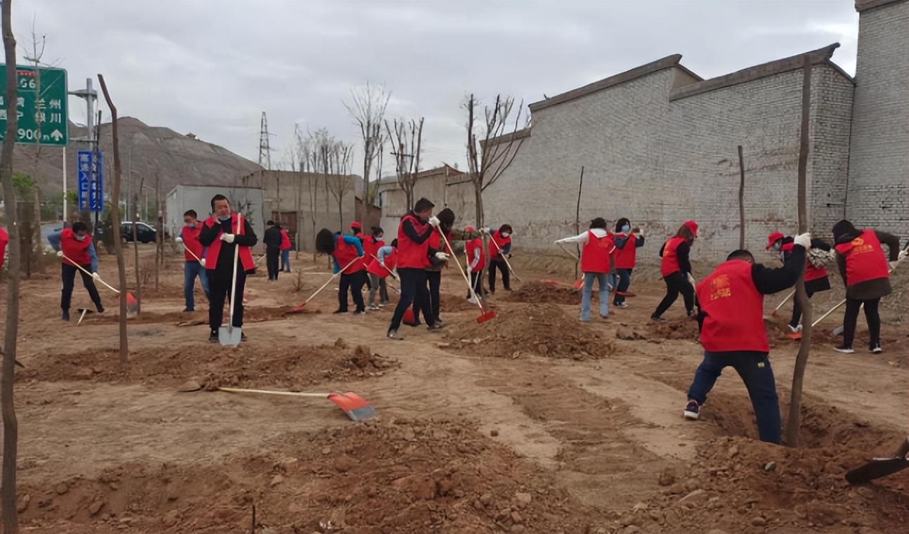 西固区先锋路街道开展义务植树活动