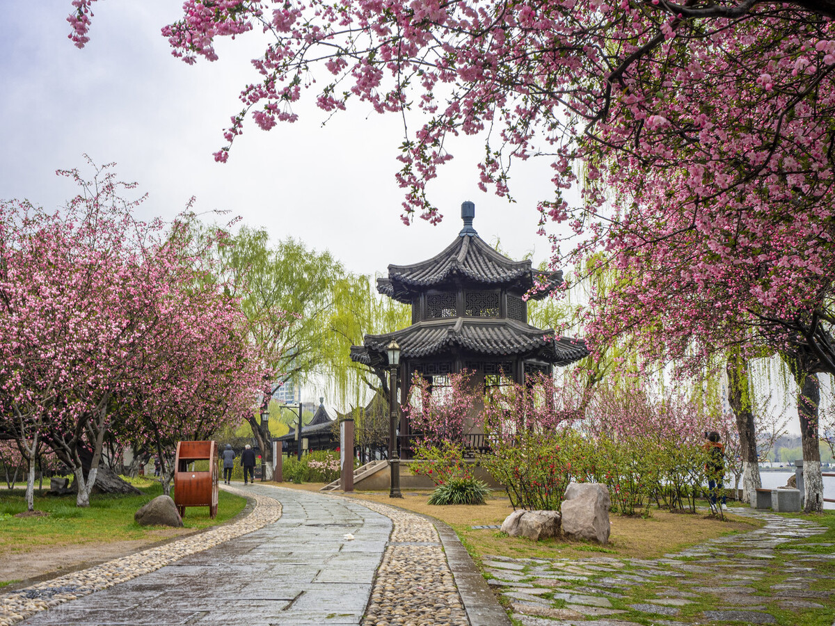 当唐诗宋词遇上春日美景，一起感受春天里的诗意美景
