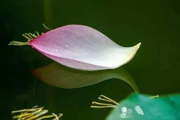 5G时代，更需要修炼5J内功