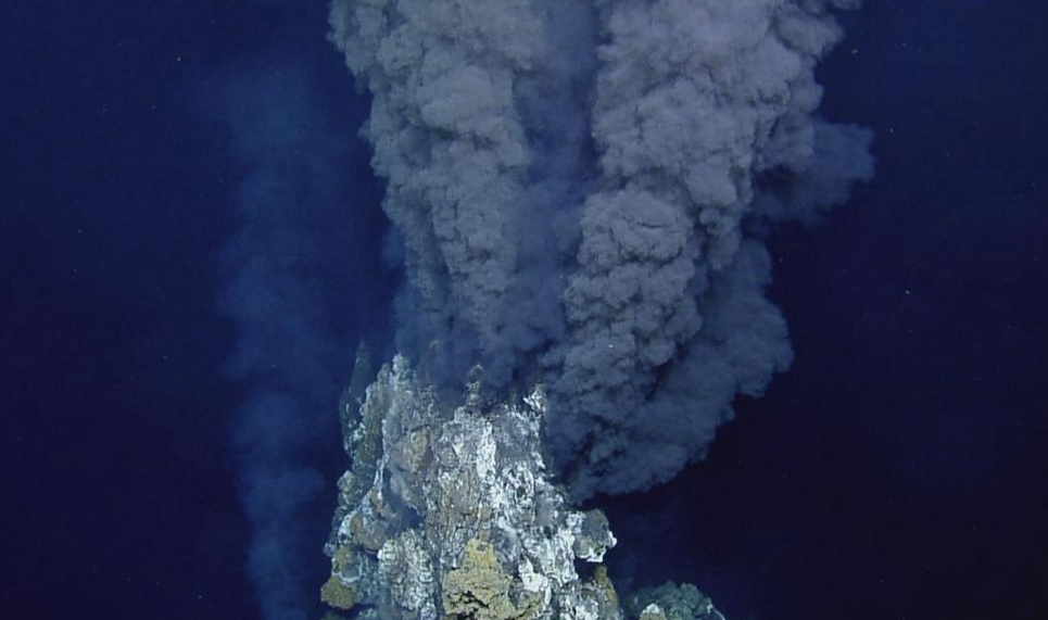 人类为什么只探索了5%的海洋？人类在深海中，发现了什么？