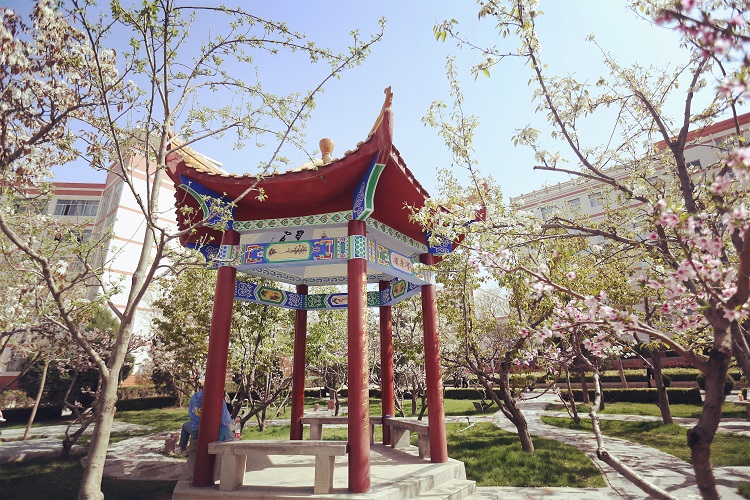 最新2022年甘肃省民办大学排名出炉：仅有三所入选