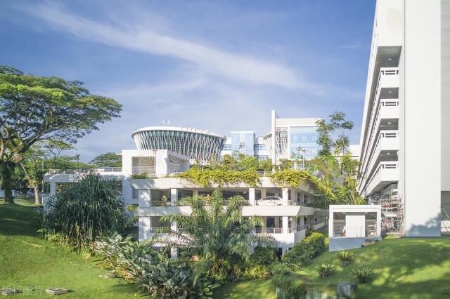 ntu大学（新加坡ntu世界大学排名2022）