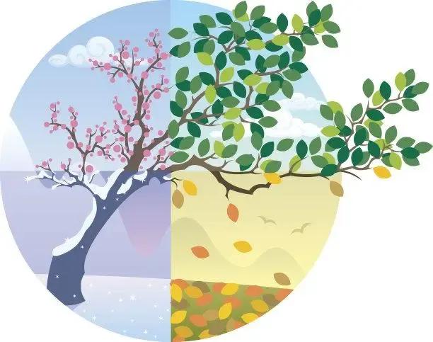 关于四季优美的句子英文版_晶羽科技