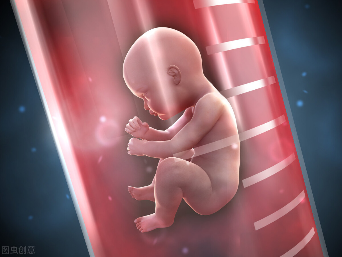 胎儿性别测试（胎儿性别鉴定重出江湖）