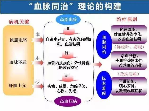 2个中成药，化浊降脂、清理血液、恢复血管弹性，标本兼治高血压