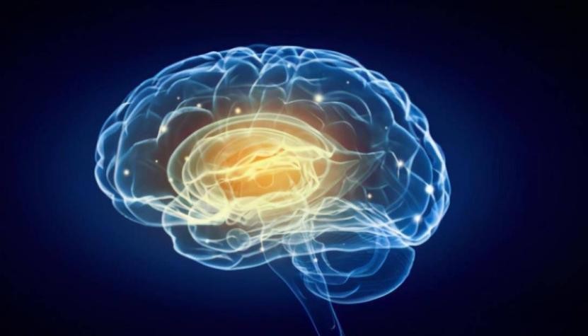 四種表現說明大腦已經進入更年期，補充3種營養來延緩