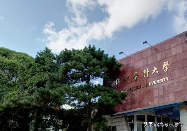 辽宁医药院校多达6所，1所是“国字头”，唯一的学院拟升大学