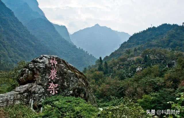 神龙架野人(神农架野人频频出没，近千人声称见到野人，中国三次考察揭开真相)