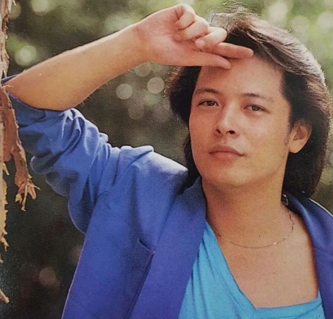 琼瑶男郎今昔颜值大PK：有人年过60依旧帅气，有人发福成“奶奶”