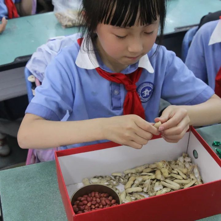 发扬劳动精神 争做先锋少年｜记川大西航港实小劳动技能大赛活动