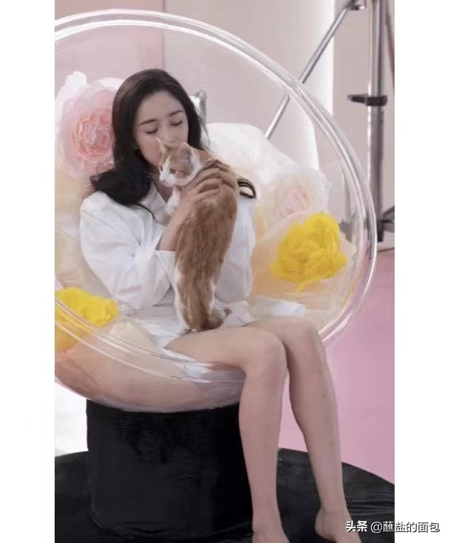 杨幂是个够狠的女人