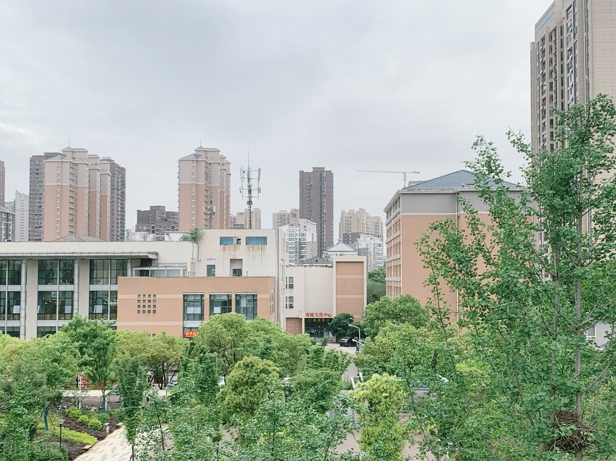 开设美术类公费师范生的大学有多少所？2022年多少分可以报考