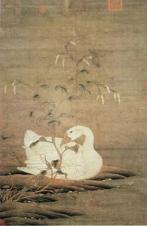 水中花白鹅，诗画溢欢歌：“白鹅”诗词20首，国画白鹅46幅
