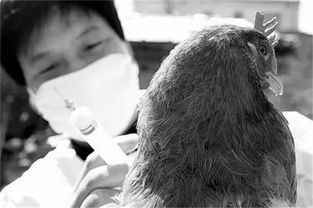 除了毛朱刘周任五大书记，还有2位候补书记：是谁？结局如何？