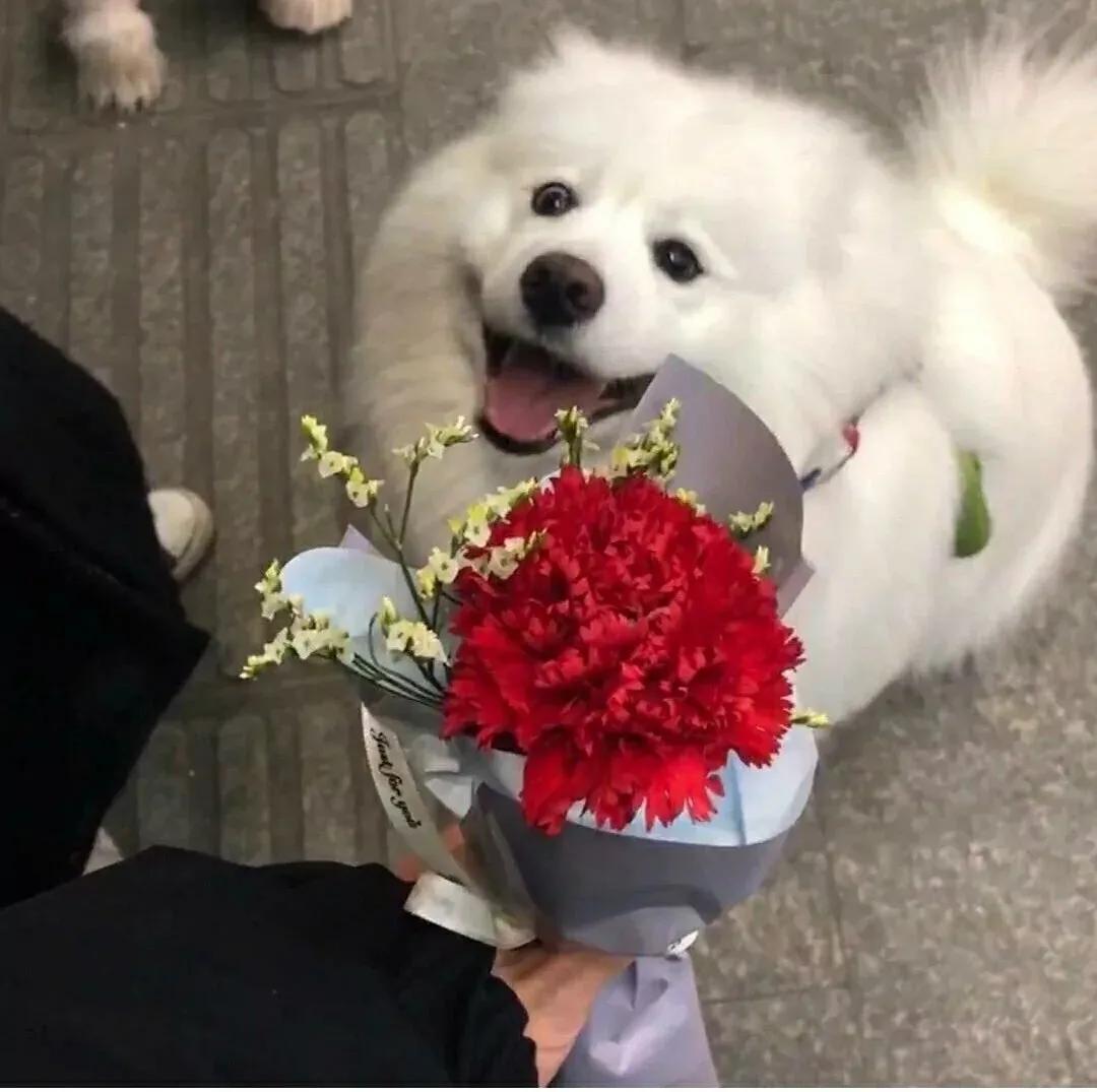 那些幸福感爆棚的温柔文案