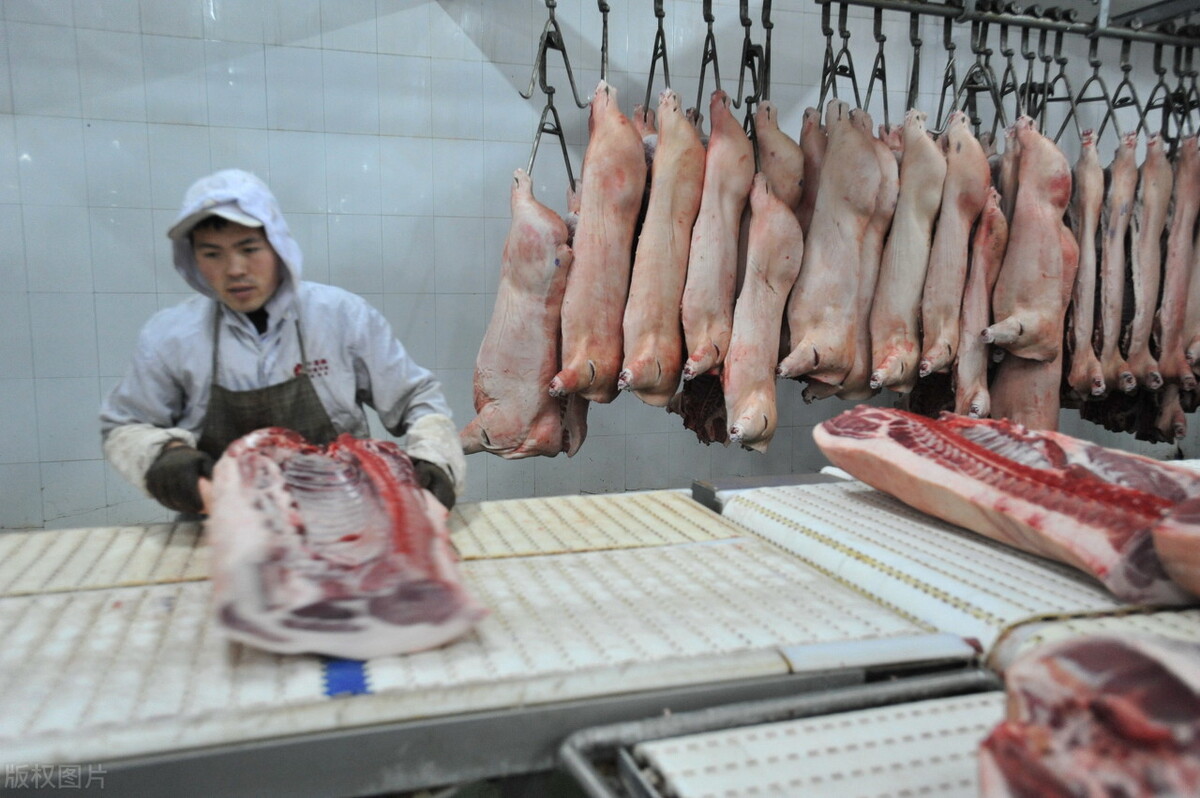 毛猪一斤8元，猪肉一斤15，“猪跌肉涨”的背后，到底是什么逻辑