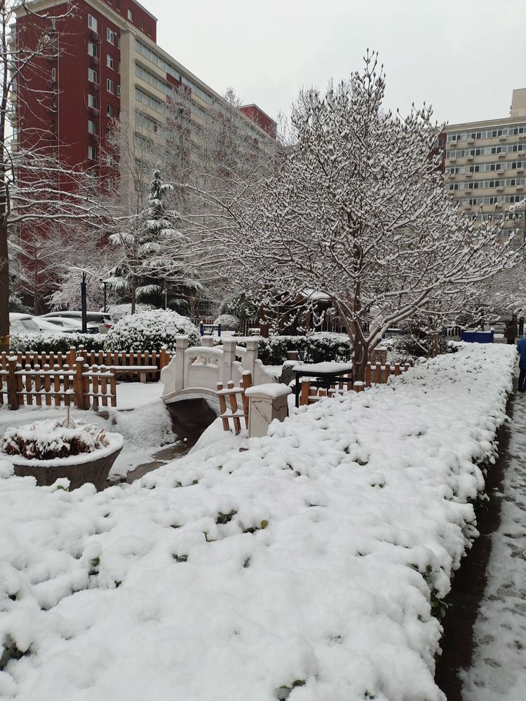 一场雪，让这里的春天真美 摄影/诗文：李武兵