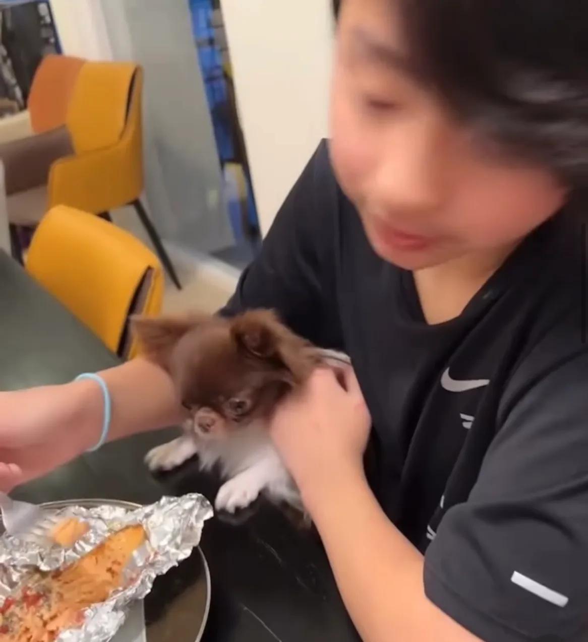 张柏芝晒和儿子游泳动态，3岁小王子正脸曝光，脸蛋肉嘟嘟萌态足