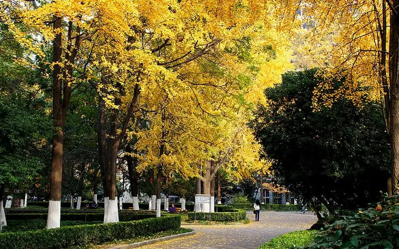 什么是成人高考？毕业待遇如何呢？