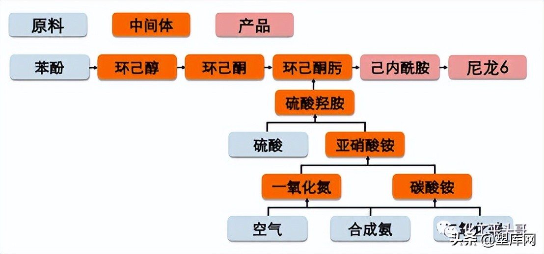 煤矿里走出的「皇族」：帝斯曼的120年