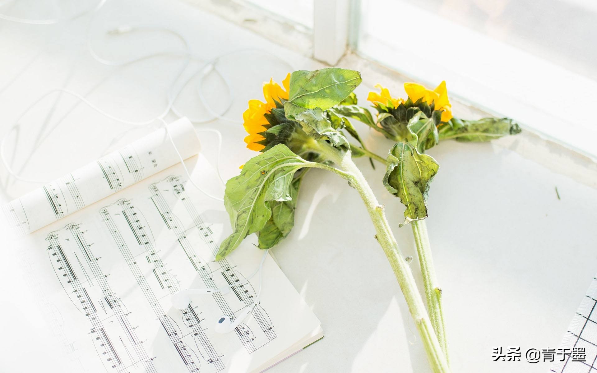 《女心理师》原著中12个句子，读懂了便能自我救赎