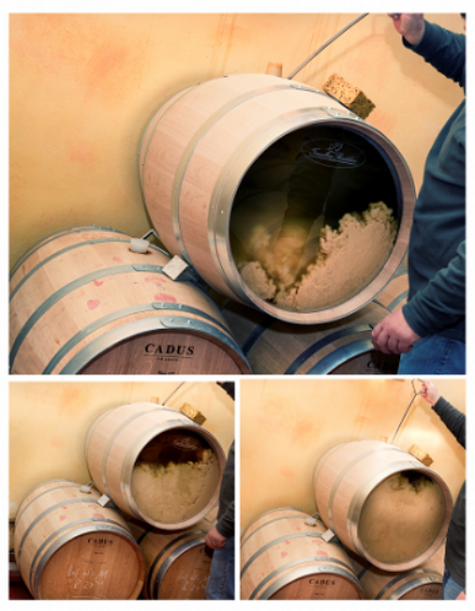 酵母,为葡萄酒酿造注入灵魂