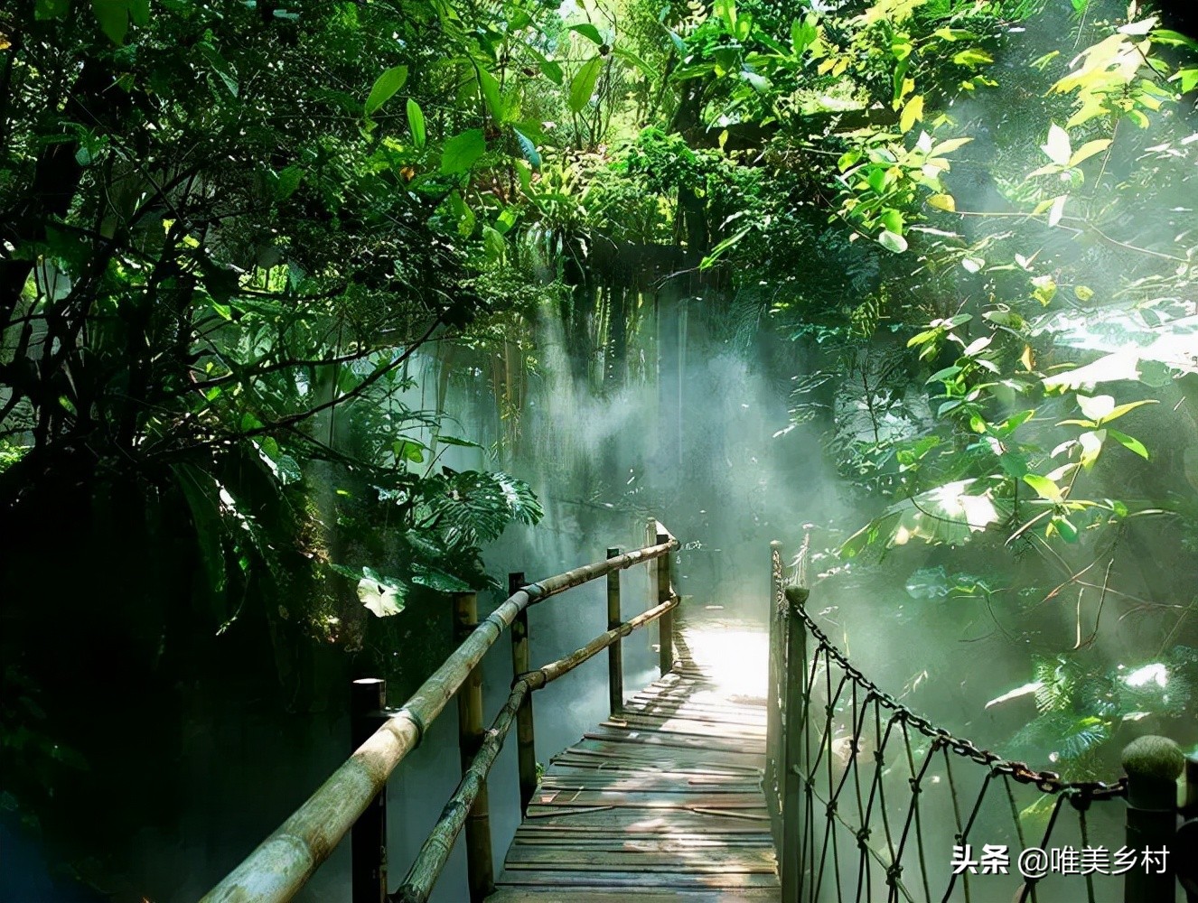 乡村产业发展，如何有效利用“四荒地”？5大创意玩法值得借鉴