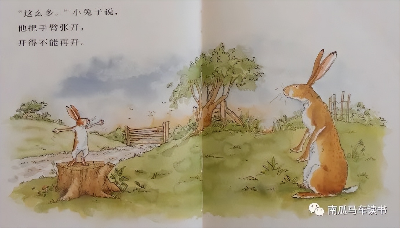 绘本《猜猜我有多爱你》：致敬母亲节——母爱到底有多长