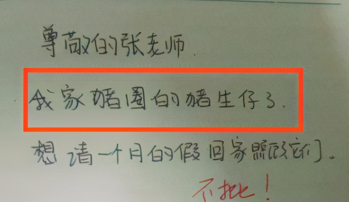 大学生请假条火了，用画的也就算了，回家结婚的着实让同学羡慕了