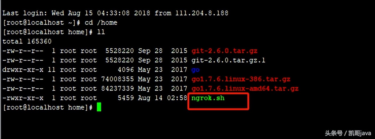 內(nèi)網(wǎng)穿透利器-ngrok的圖文安裝