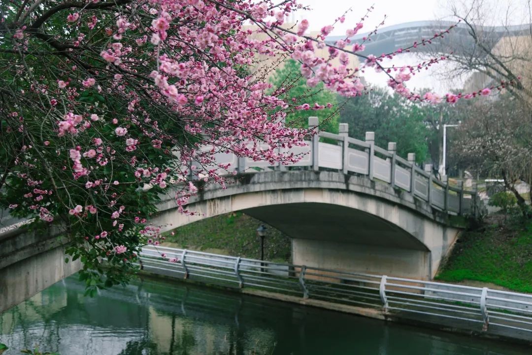 湖北这所大学：5大食堂、高档公寓，吃住条件相当好，出门是地铁